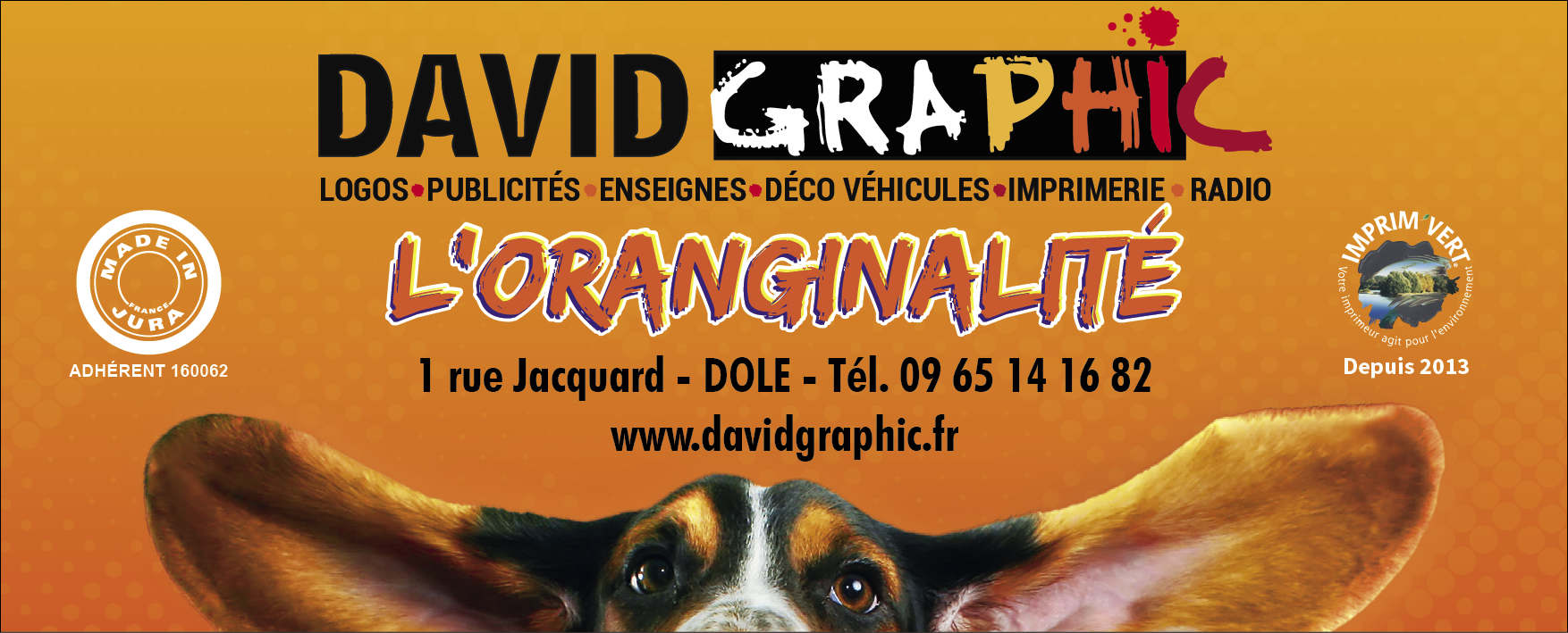pub David Graphic